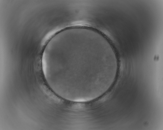 X0000111801358200909031219