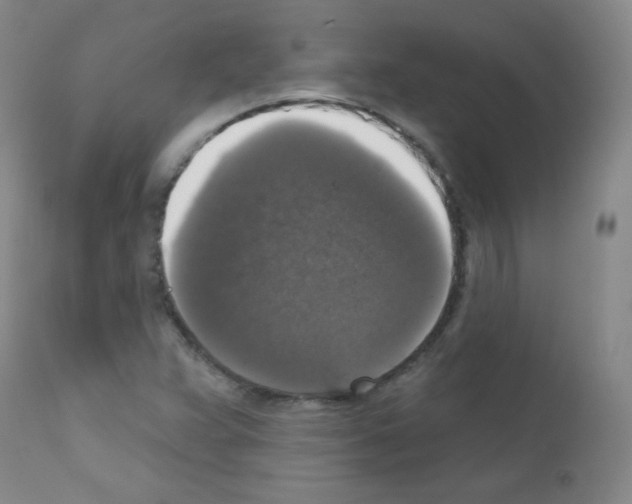 X0000111801359200909031219