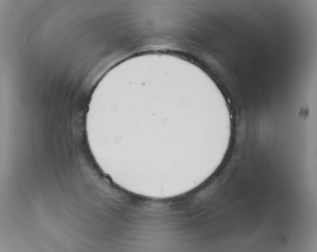 X0000111801361200909031219