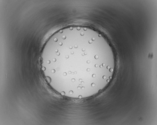 X0000111801362200909031219
