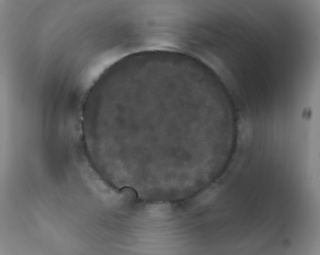 X0000111801363200909031219