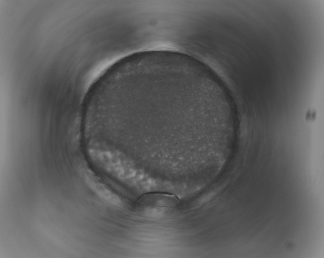 X0000111801364200909031219