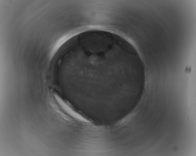 X0000111801365200909031219