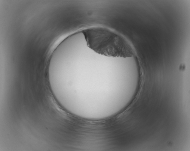 X0000111801367200909031219