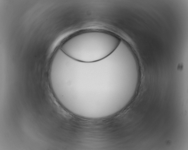 X0000111801368200909031219