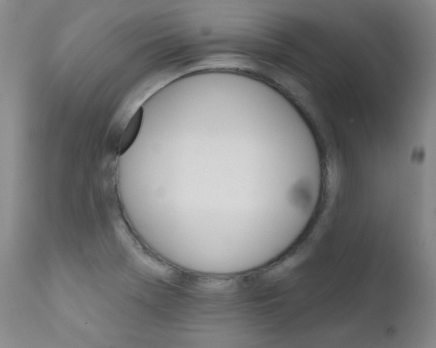 X0000111801369200909031219