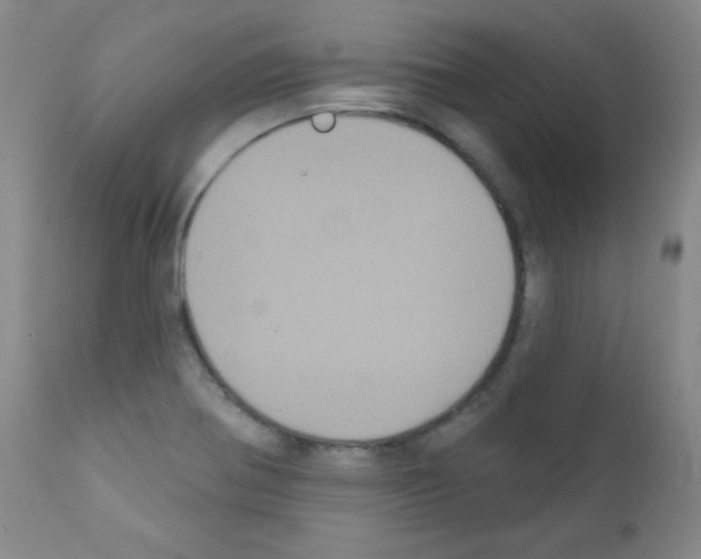 X0000111801370200909031218