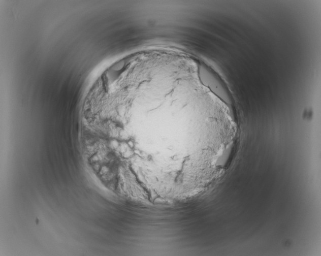 X0000111801371200909031218