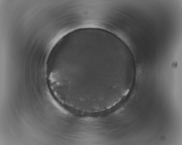X0000111801380200909031218