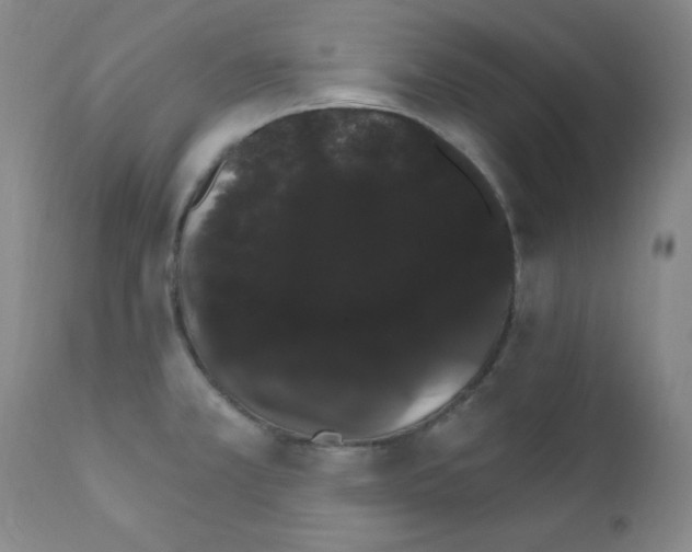 X0000111801381200909031218