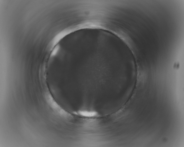 X0000111801382200909031218