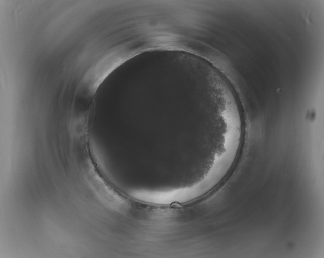 X0000111801385200909031218