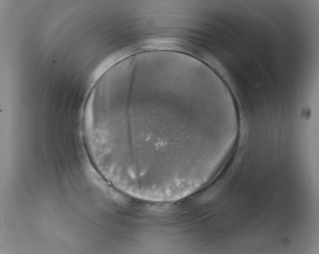 X0000111801386200909031218