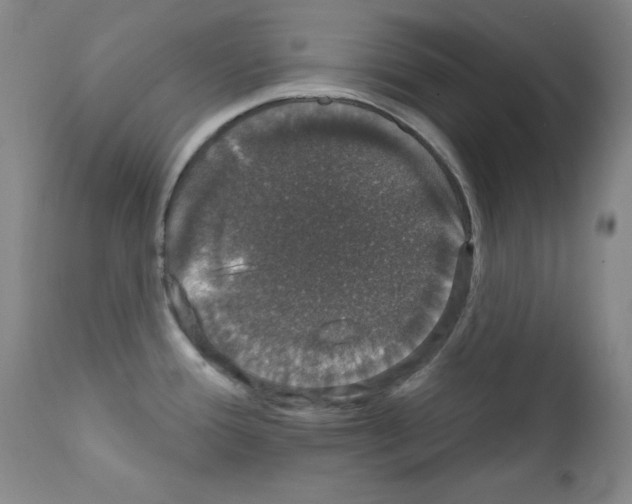 X0000111801388200909031218