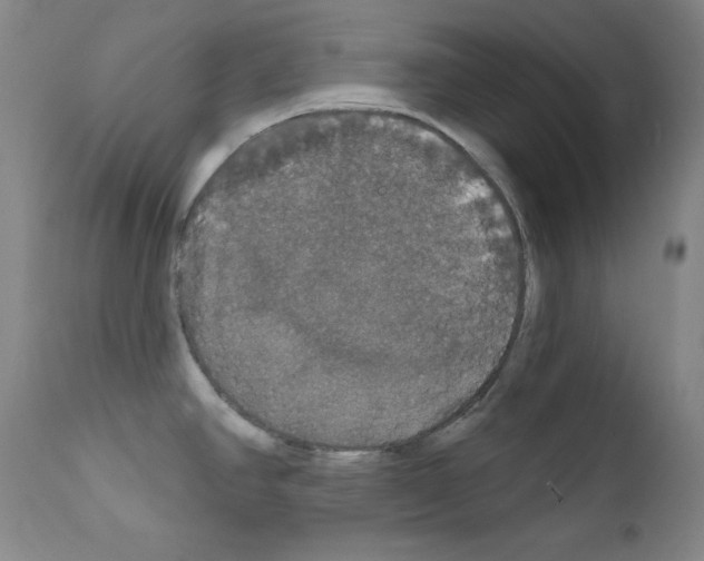 X0000111801390200909031218