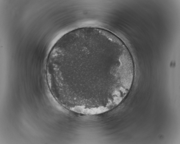 X0000111801392200909031218