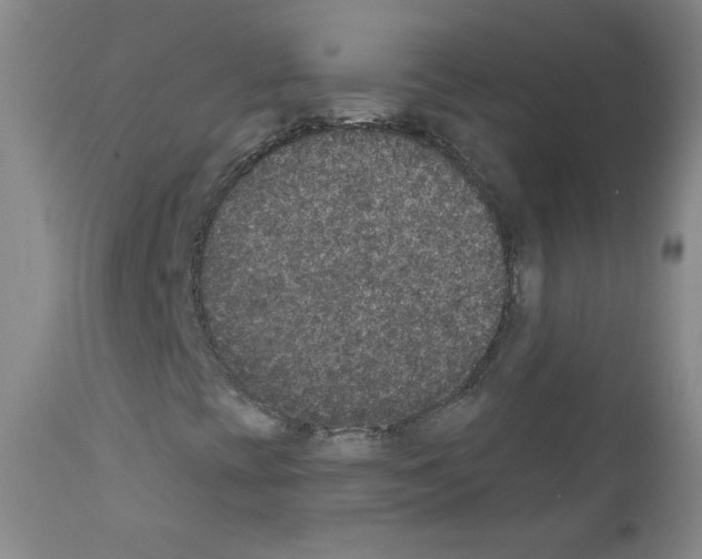 X0000111801393200909031218