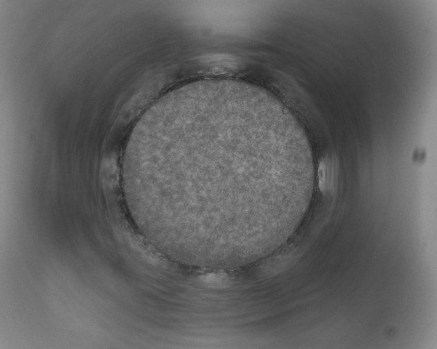 X0000111801395200909031218