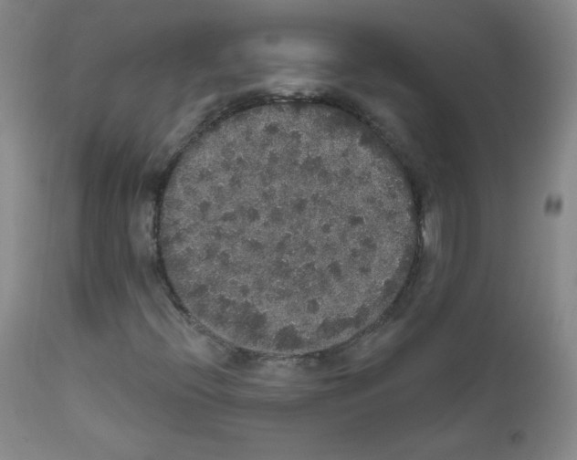 X0000111801396200909031218