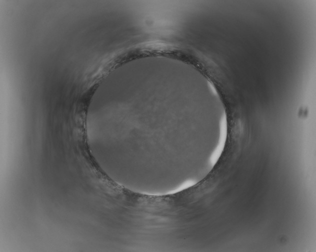 X0000111801397200909031218