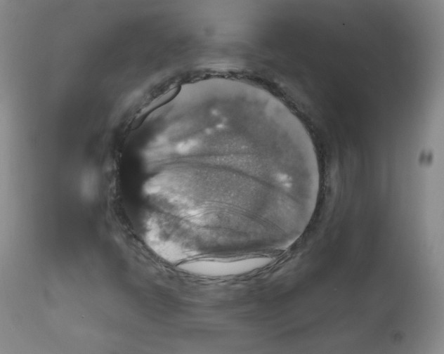 X0000111801398200909031218