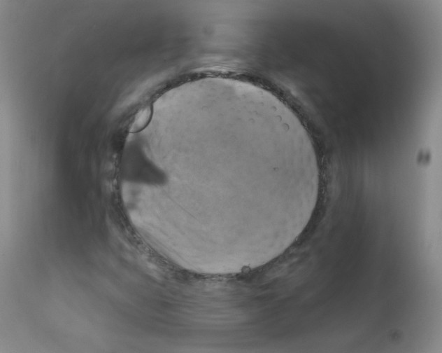 X0000111801399200909031218