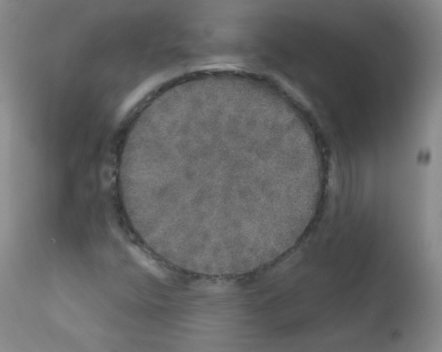X0000111801400200909031218