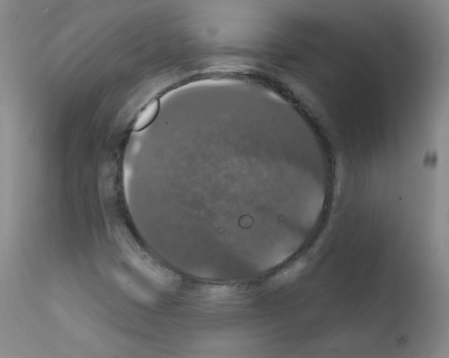 X0000111801401200909031218