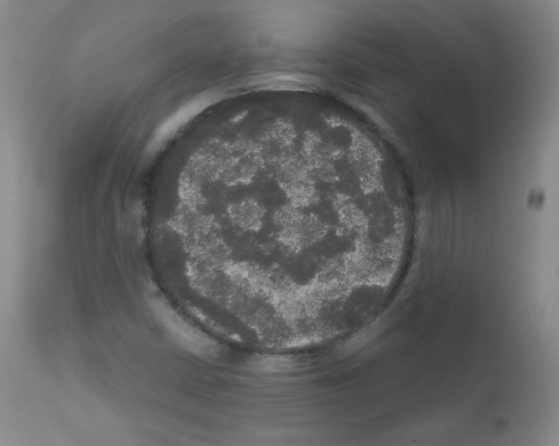 X0000111801402200909031218