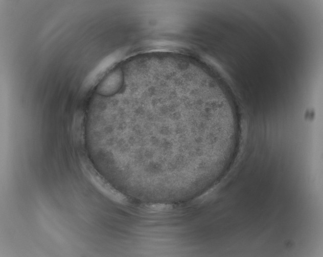 X0000111801403200909031218