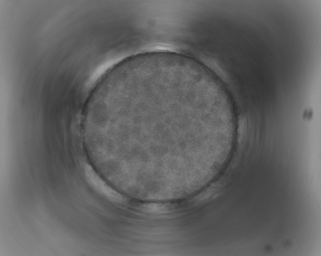 X0000111801404200909031218