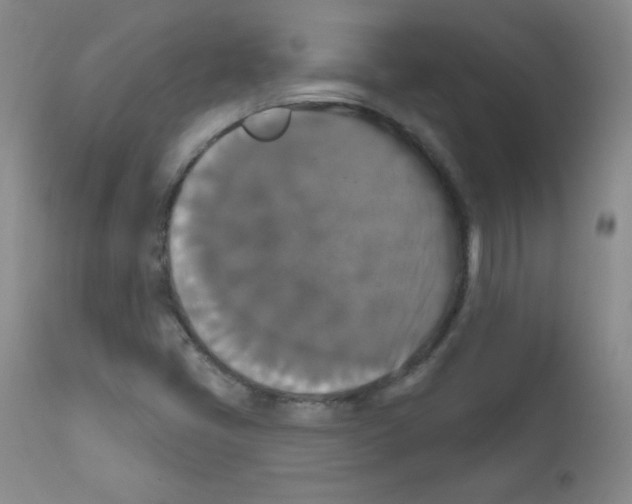 X0000111801405200909031218