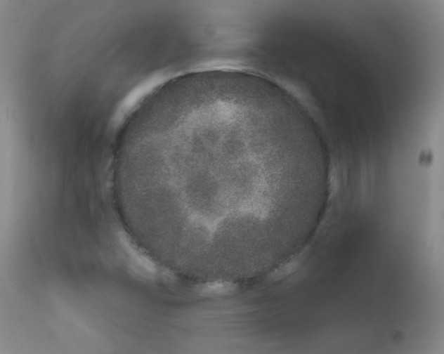 X0000111801406200909031218