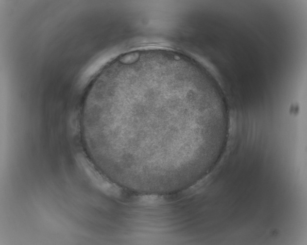 X0000111801407200909031218
