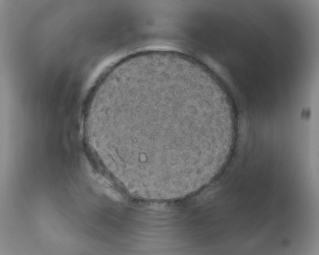 X0000111801408200909031218