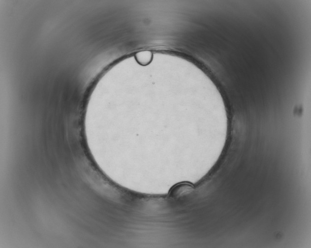 X0000111801410200909031218