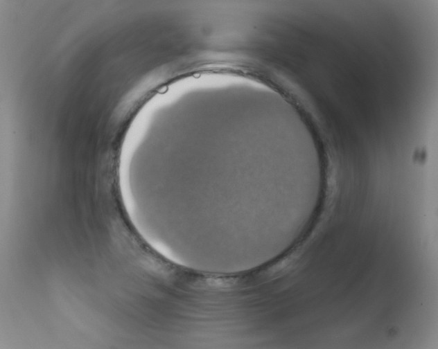 X0000111801411200909031218