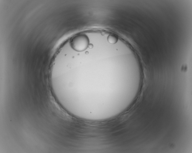 X0000111801412200909031218