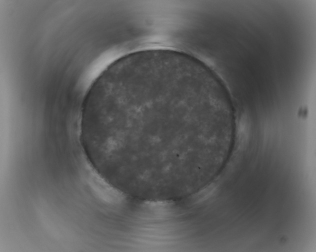 X0000111801415200909031218