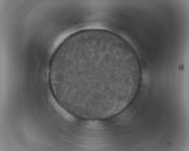 X0000111801416200909031218