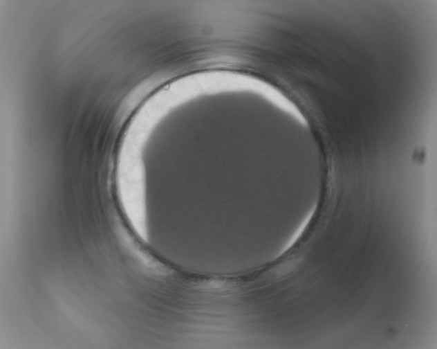 X0000111801418200909031218