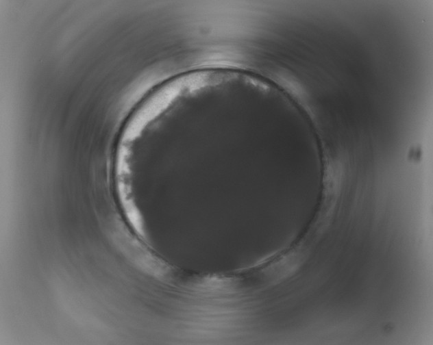X0000111801419200909031218