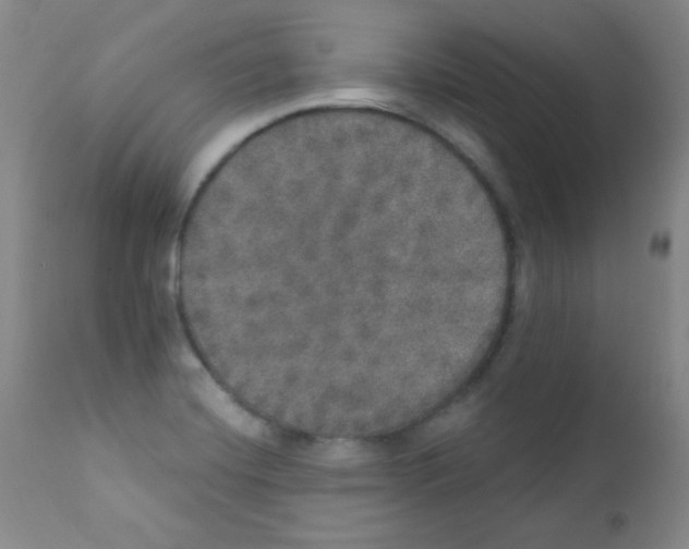 X0000111801420200909031218