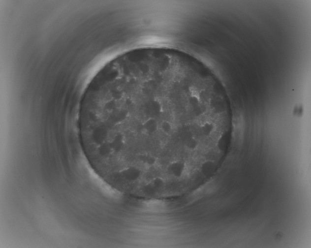 X0000111801421200909031218