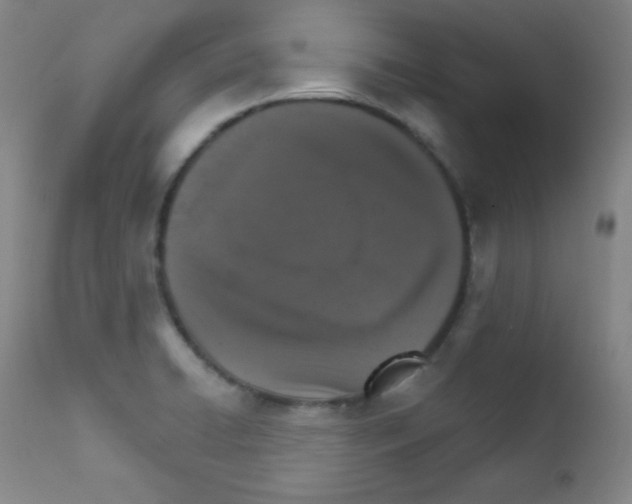 X0000111801422200909031218