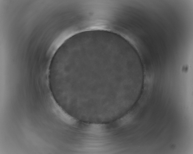 X0000111801423200909031218