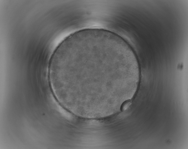X0000111801424200909031218