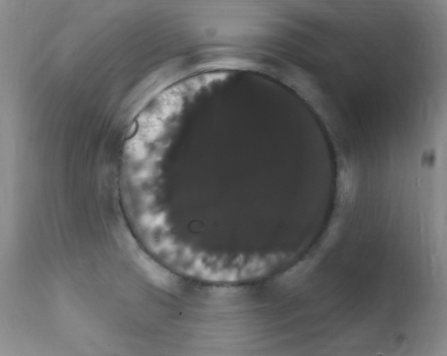 X0000111801425200909031218