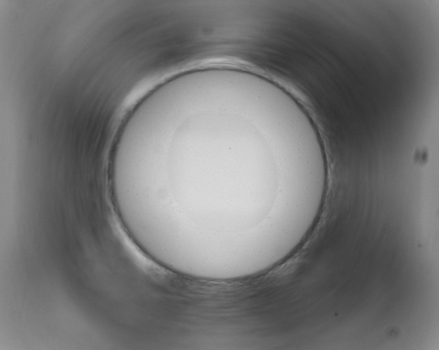 X0000111801430200909031218
