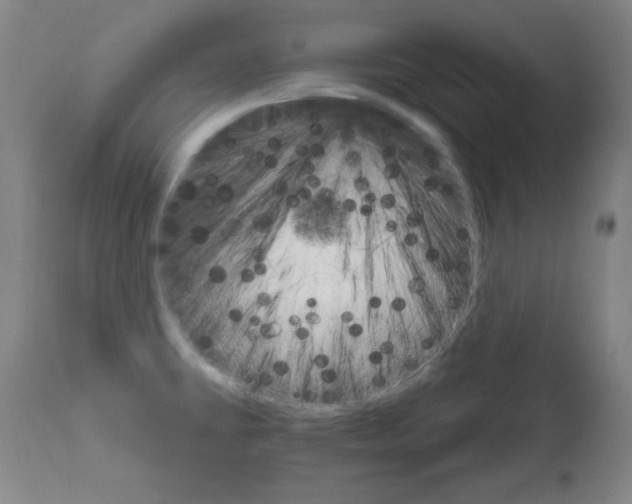 X0000111801431200909031218